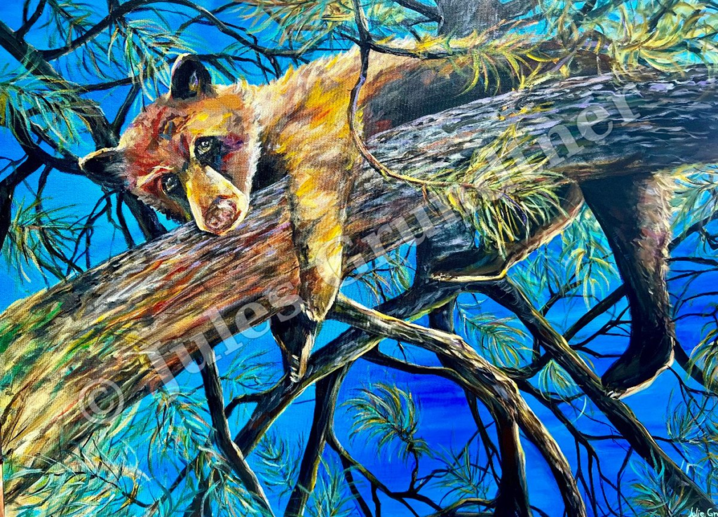 Bear in Pine Tree — original painting by Julie Grundtner, Evergreen, Colorado